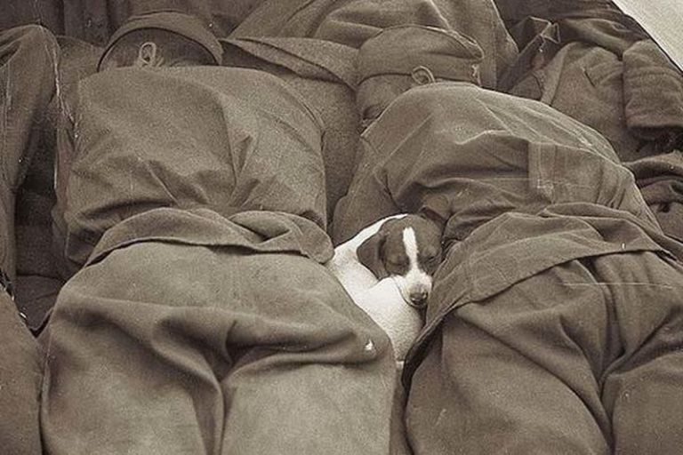 На период весенней распутицы российская армия, скорее всего, приостановит наступательные действия для проведения ротации...